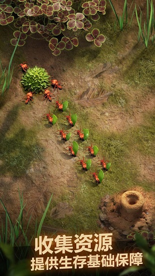 小蟻帝國(guó)最新版中文版 v1.90.0 官方安卓版 1