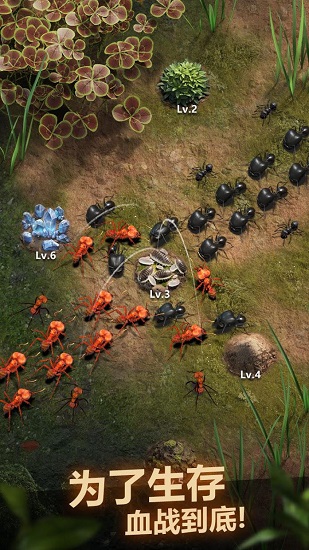 小小蟻國(guó)下載