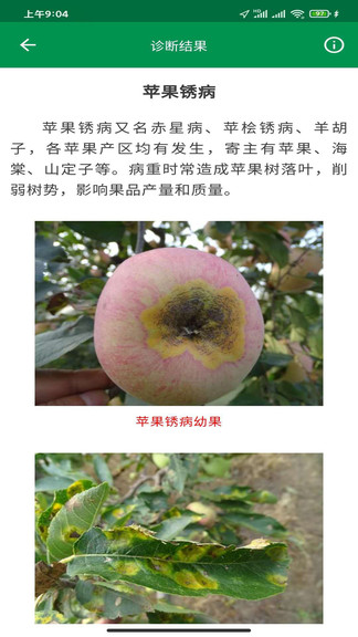 很準(zhǔn)農(nóng)醫(yī) 很準(zhǔn)農(nóng)醫(yī)手機(jī)版