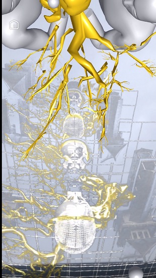 ar空空游最新版 v1.2.0 安卓版 1