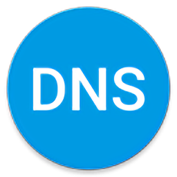 dns轉(zhuǎn)換器漢化版