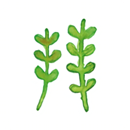 拜師學(xué)最新版