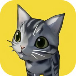 貓咪小能手