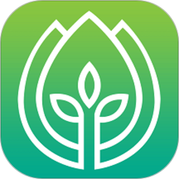 病蟲害測(cè)報(bào)