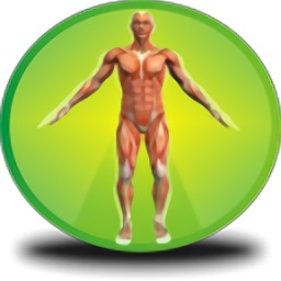 bodecoder體格大師app軟件