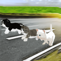 小貓對(duì)決最新版