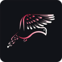 鴿報(bào)最新版