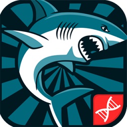 動(dòng)物進(jìn)化論