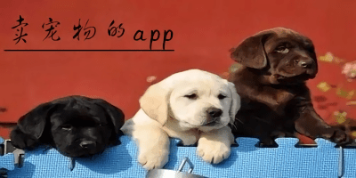賣寵物的app