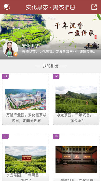 黑茶家園 v1.1.0.2 安卓版 0