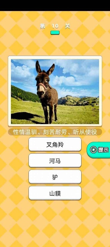 動(dòng)物研究院手游下載 動(dòng)物研究院游戲下載