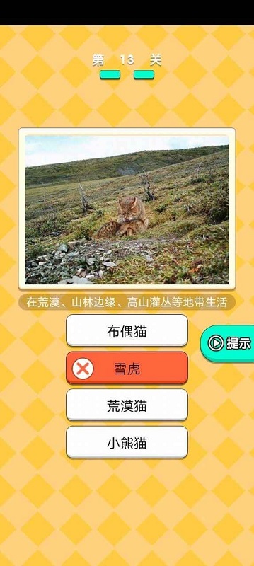 動(dòng)物研究院游戲 v1.3 安卓版 2