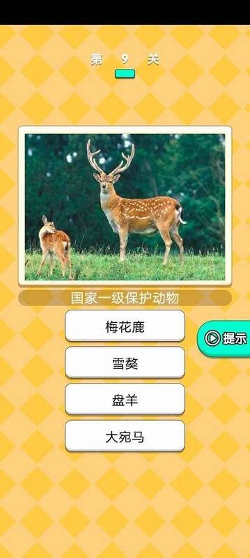 動(dòng)物研究院游戲 v1.3 安卓版 3