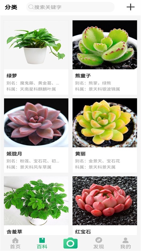 御花園養(yǎng)花 v2.6.1 安卓版 3