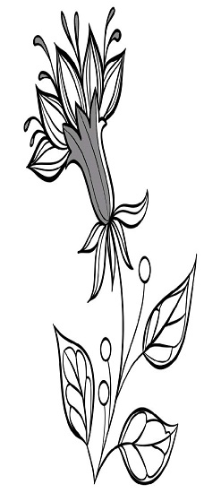 小畫家填色涂畫最新版 v1.0.0 安卓版 3