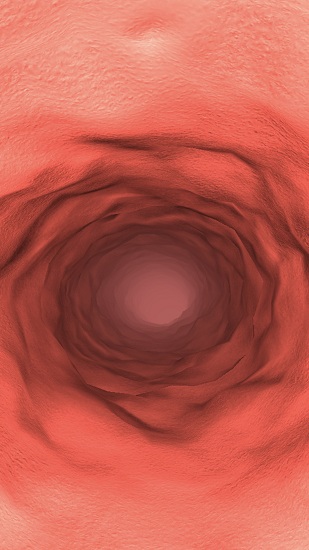 茄子探險 v1.0 安卓版 2