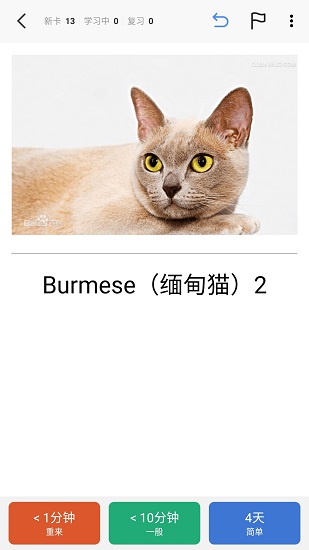 anki探索版 v3.00.30 安卓版 2