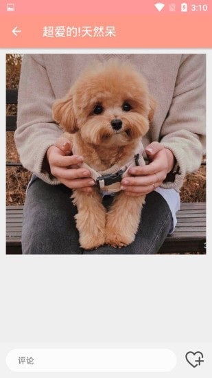 萌物集 萌物集app