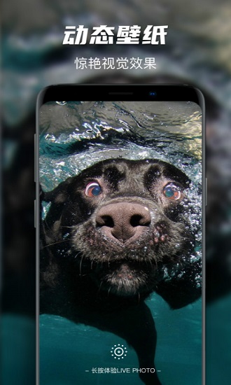 遙望壁紙app下載