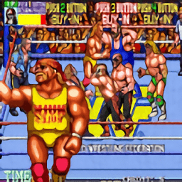 世界專業(yè)摔角最新版