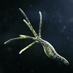 袍子模擬器官方版