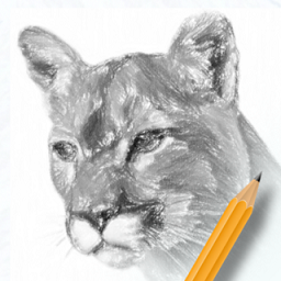 素描繪畫(huà)入門(mén)教程軟件