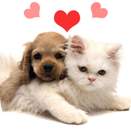 人貓狗翻譯器最新版