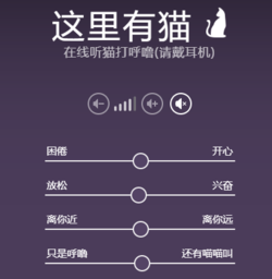 這里有貓最新版