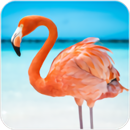 火烈鳥模擬器游戲官方版