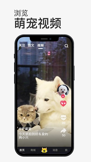 小寵書最新版 v1.1.2 安卓版 1