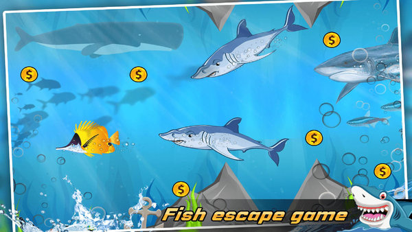 瘋狂的小魚 瘋狂的小魚手機(jī)游戲