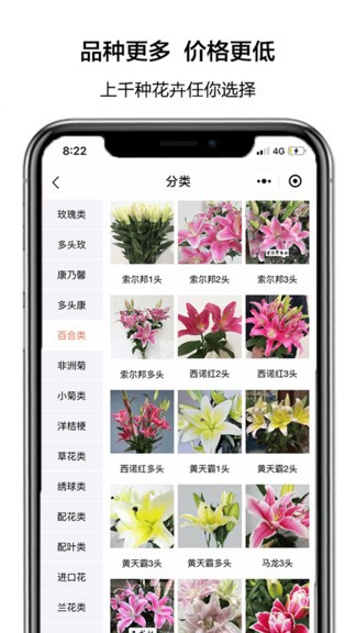 花比三家 花比三家app