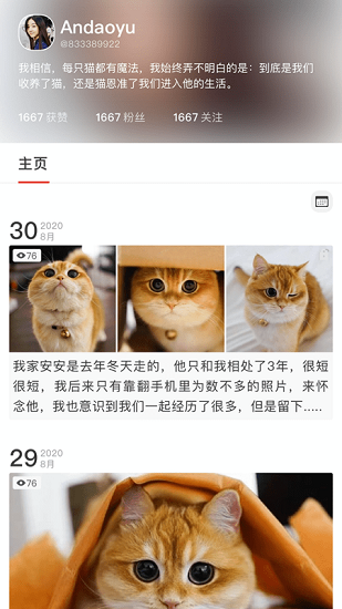 寵年年app