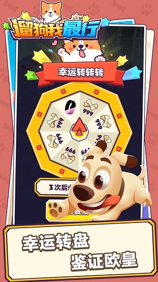 遛狗我最行 遛狗我最行下载