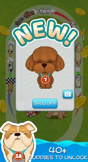 聪明的狗 聪明的狗游戏