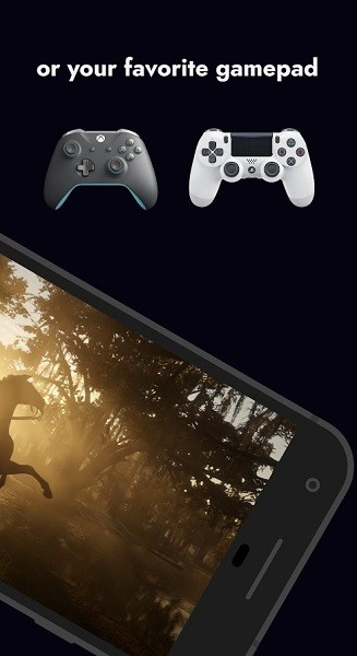 rainway串流 v1.3.5 安卓版 1