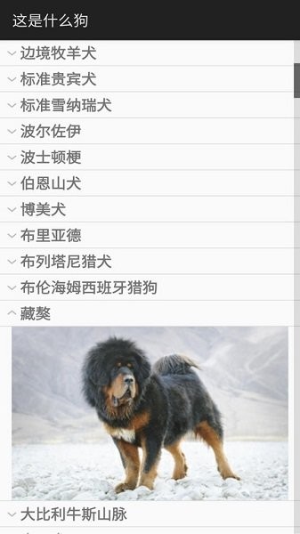 這是什么狗拍照識(shí)別軟件 v1.0.1 最新版 1