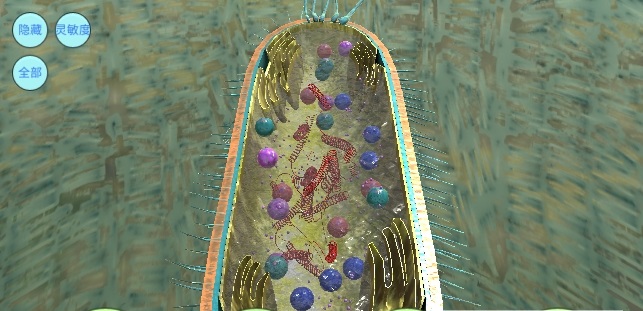 细胞游戏下载 细胞手游下载