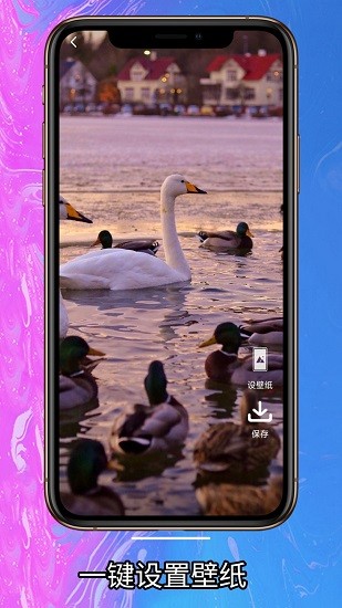 簡(jiǎn)單壁紙高清全屏 v1.0.0 安卓版 1