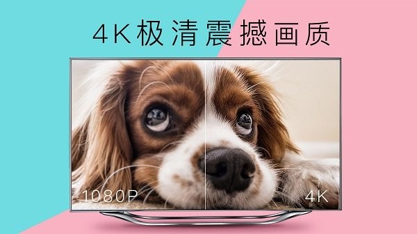 cibn4k花園app v3.7.3.7 安卓版 1