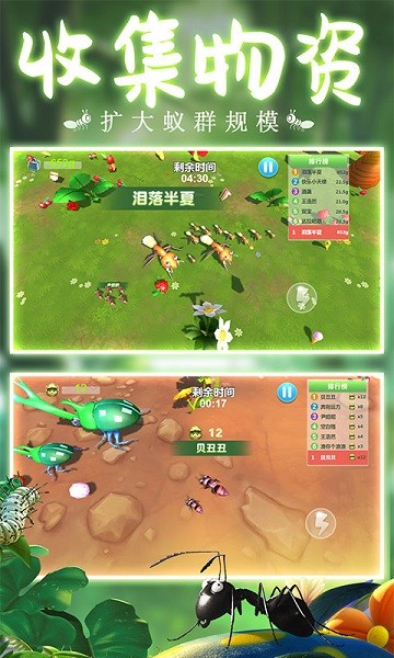 螞蟻行軍團(tuán)手游 v1.0.1 安卓版 3