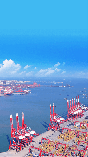 山東港口青島港件雜貨 v1.5.1 安卓版 0