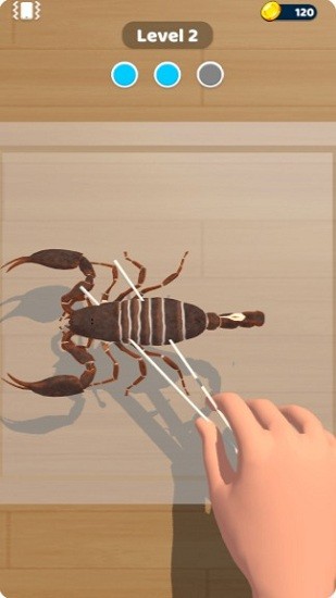 動(dòng)物標(biāo)本官方版 v1.0.1 安卓版 0