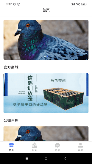 搜鴿爾 搜鴿爾app