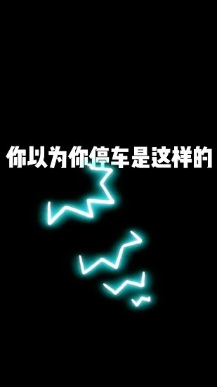 側方位停車游戲 v3.0.2.001 安卓版 0