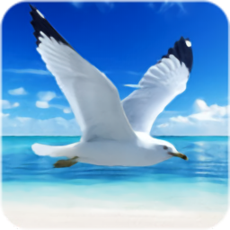 海鷗模擬器最新版