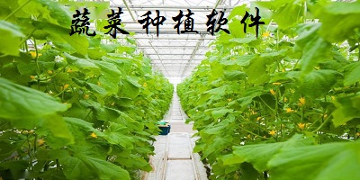 蔬菜種植軟件