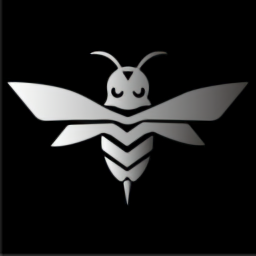 钢蜂承运版最新版