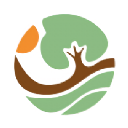 這里鄉(xiāng)情最新版