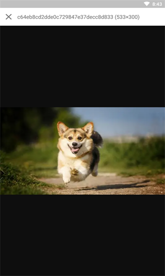 搜狗圖床接口平臺(tái) v3.12.5 安卓版 1